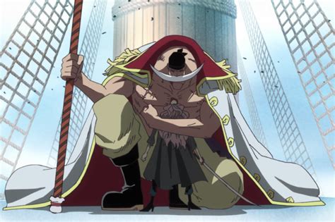 Crocodiles relation to Whitebeard and why he wants him dead .